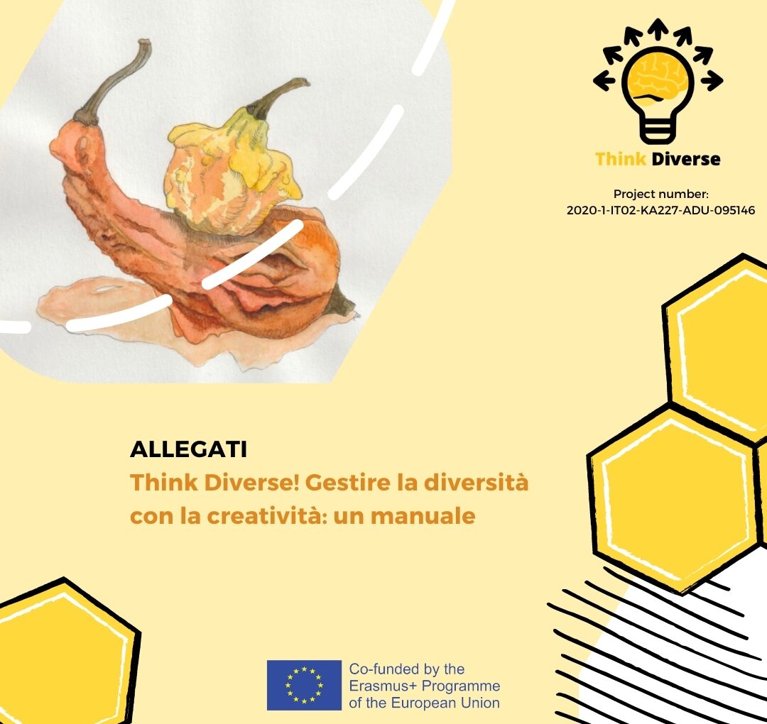 Progetto Erasmus + THINK DIVERSE!: pubblicato il sesto volume